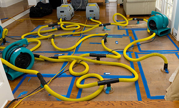 Professional Basement Flood Cleanup technician working in White Oak, MD
